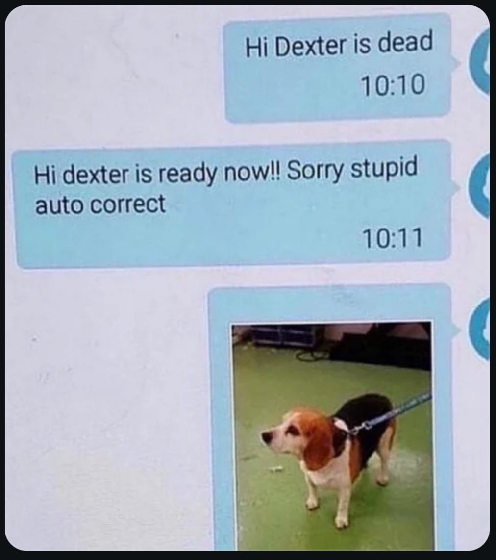 Text messages with an autocorrect mistake: &quot;Hi Dexter is dead&quot; corrected to &quot;Hi dexter is ready now!! Sorry stupid auto correct&quot; with a dog photo