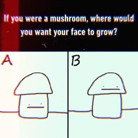 Text: &quot;If you were a mushroom, where would you want your face to grow?&quot; Two images labeled A and B show different face placements on a mushroom