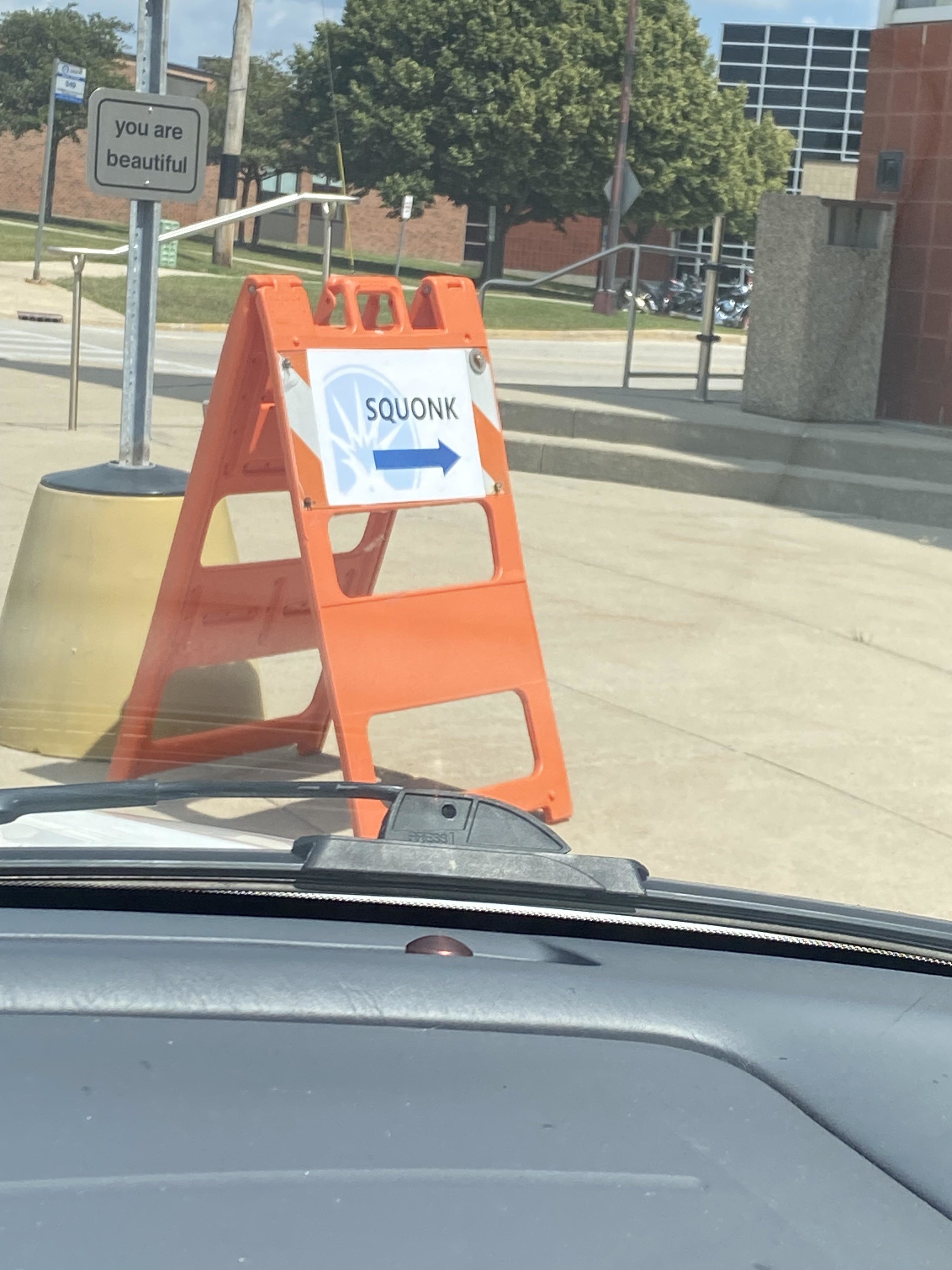 An orange road sign with the word &quot;SQOUNK&quot; and an arrow pointing right; a smaller sign reads &quot;you are beautiful.&quot;