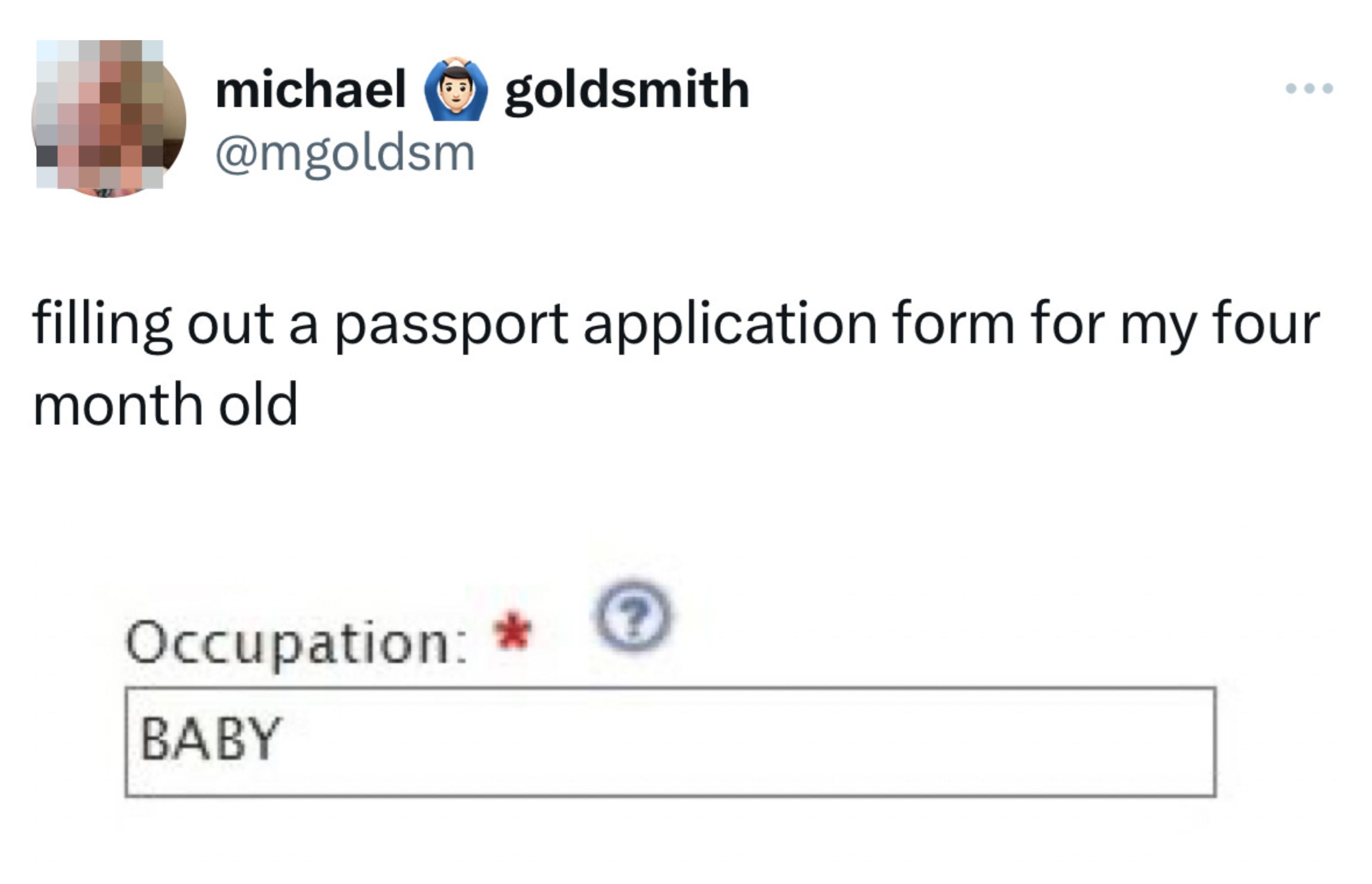 Tweet by Michael Goldsmith joking about filling out a passport application for a four-month-old; lists occupation as &quot;BABY.&quot;