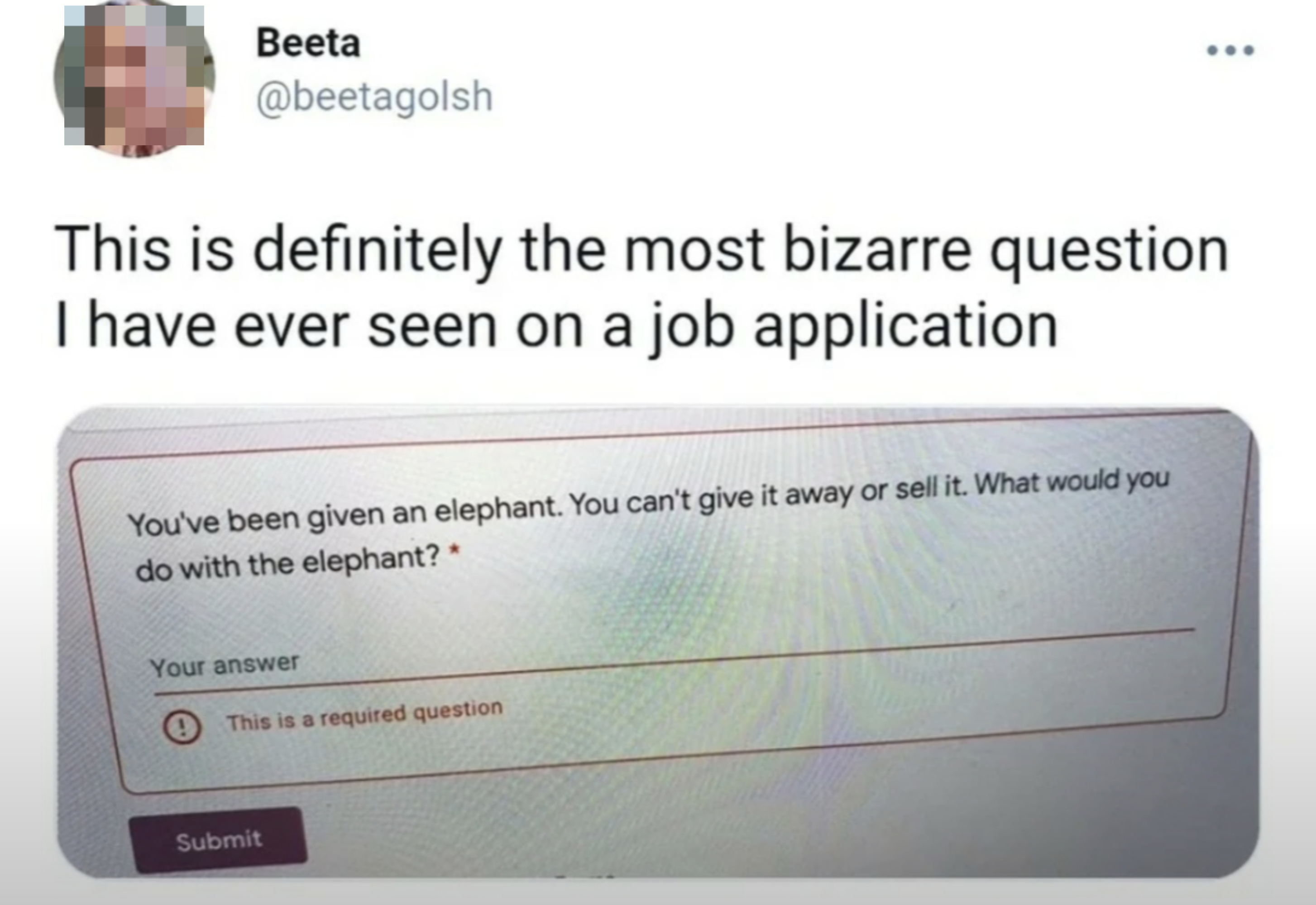 Tweet with text about a strange job application question asking what to do with a non-tradable elephant