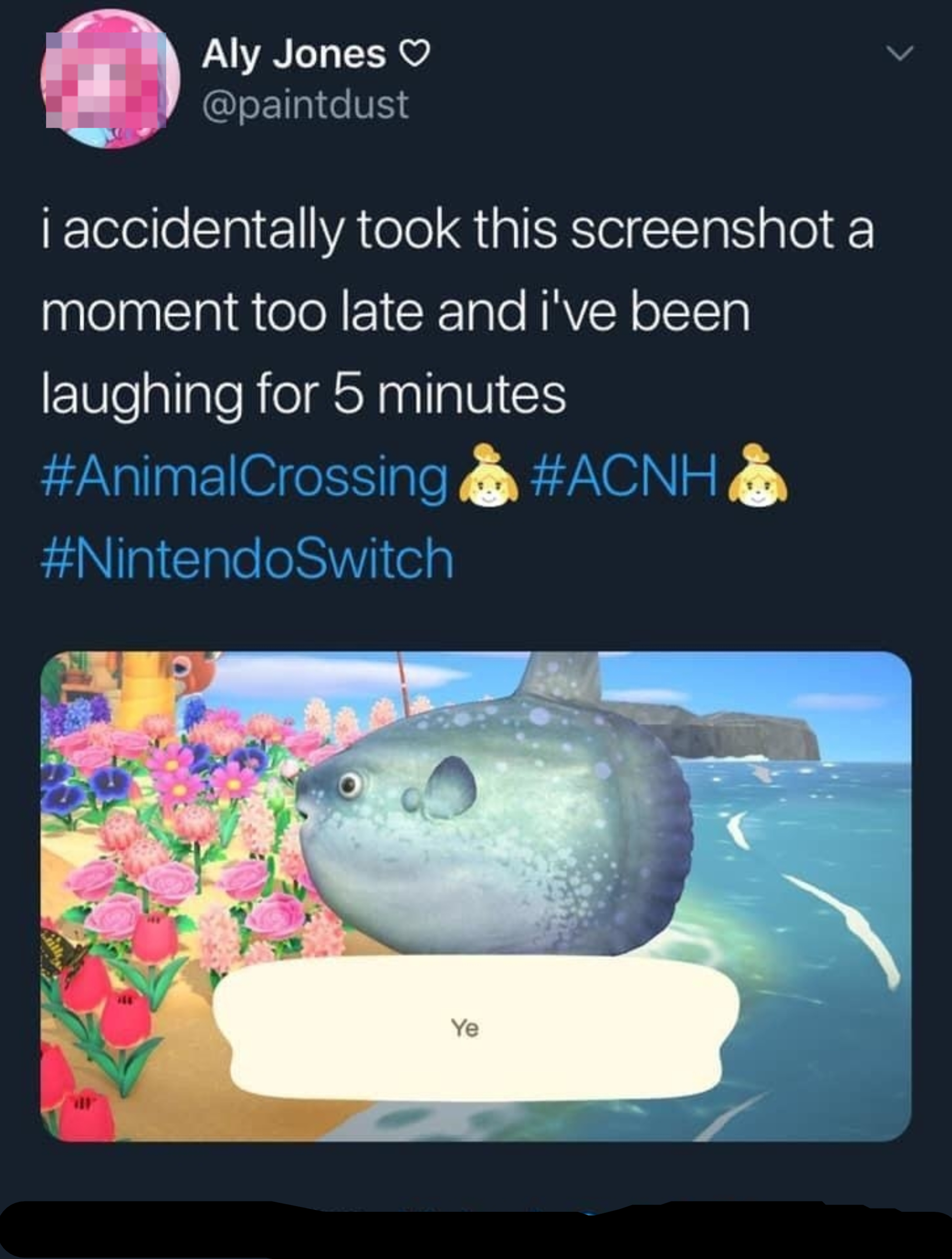 Tweet by Aly Jones humorously captures a moment in Animal Crossing with a fish saying &quot;Ye.&quot; Includes hashtags #AnimalCrossing #ACNH #NintendoSwitch