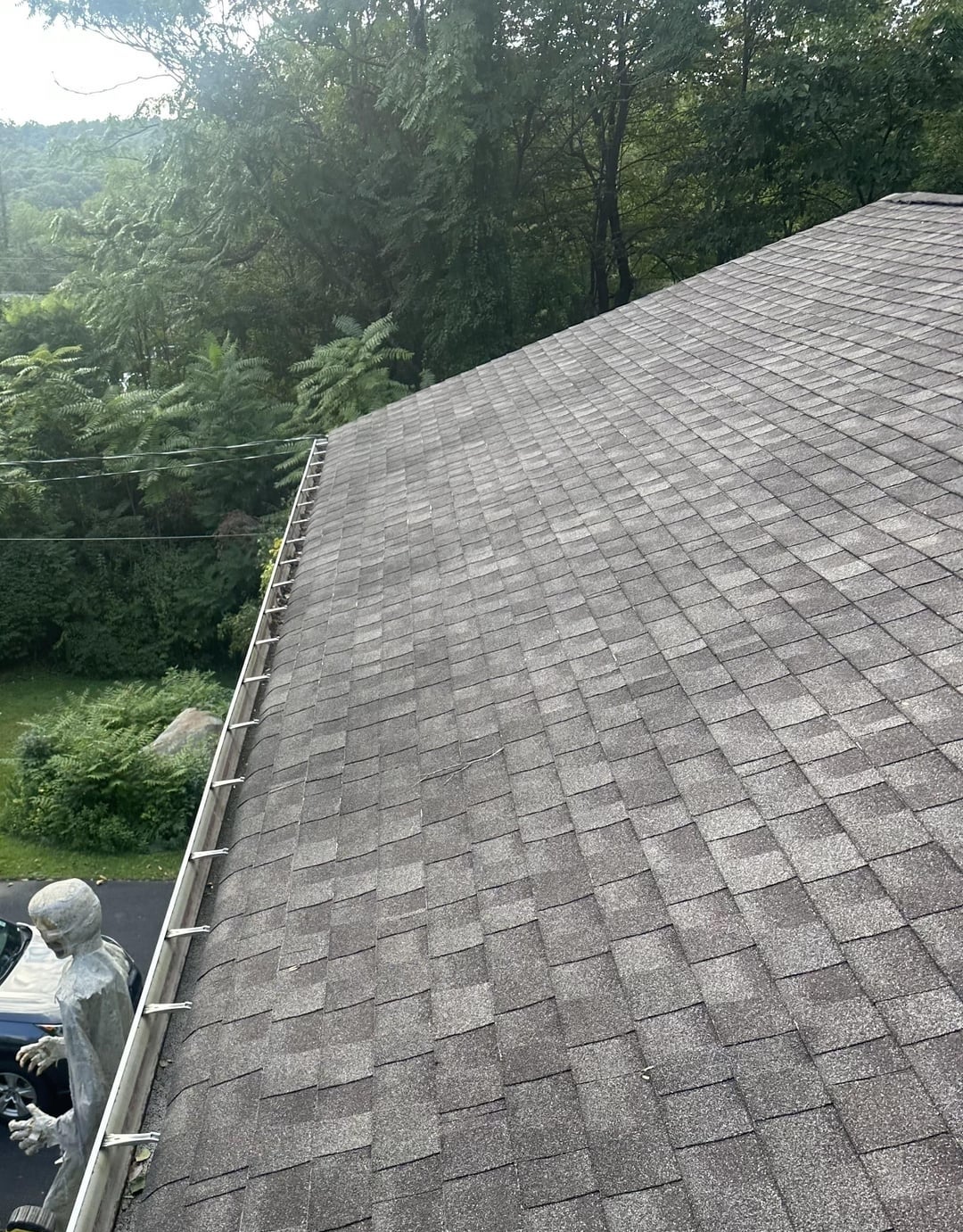 Rooftop view with gray shingles and a lush green backdrop. Gutter guards visible along the edge