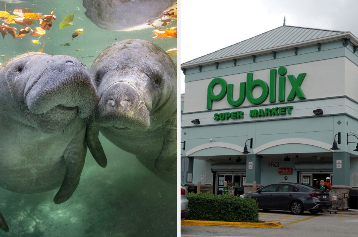 Two manatees underwater next to an image of a Publix supermarket storefront