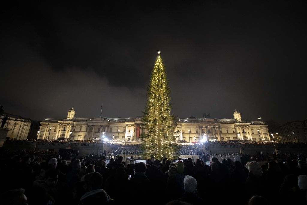 A large Christmas tree filled with lights stands in front of a historic building at night, surrounded by a crowd of people