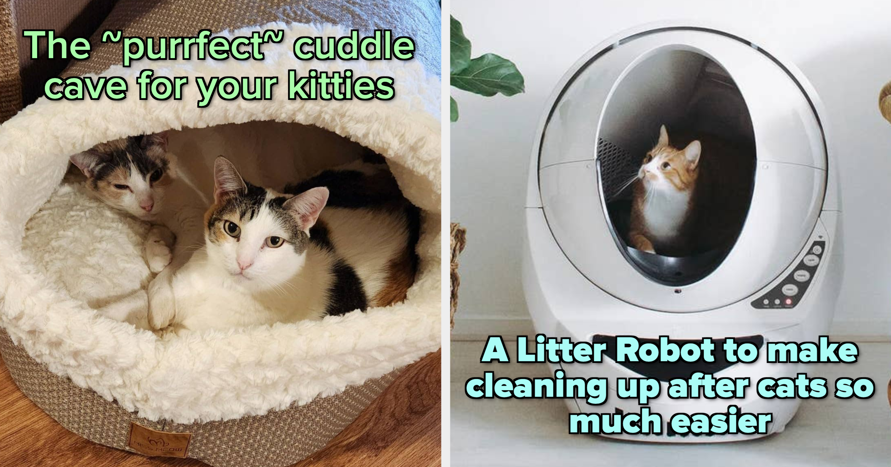 Cats Can t Get Enough Of These 27 Products