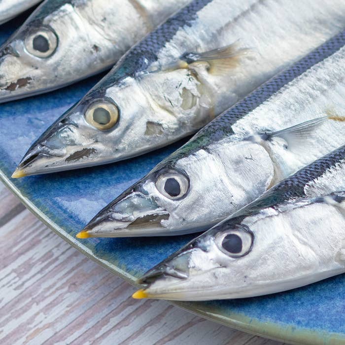 絶対に失敗しないサンマの上手な選び方 黄色いくちばしよりも…｜Tasty