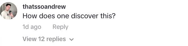 A social media comment by user thatsoandrew asking, &quot;How does one discover this?&quot; with options to reply or view 12 replies