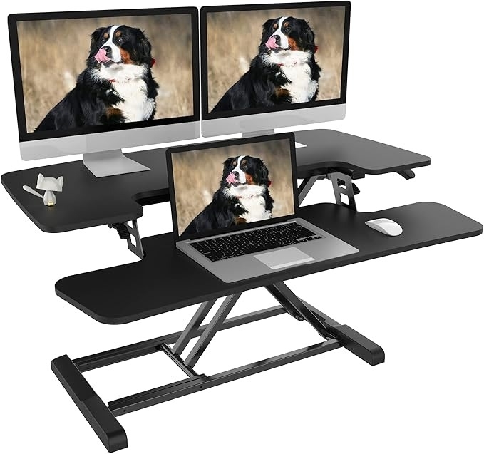 Height-adjustable desk setup with dual monitors and a laptop, all displaying a Bernese Mountain Dog