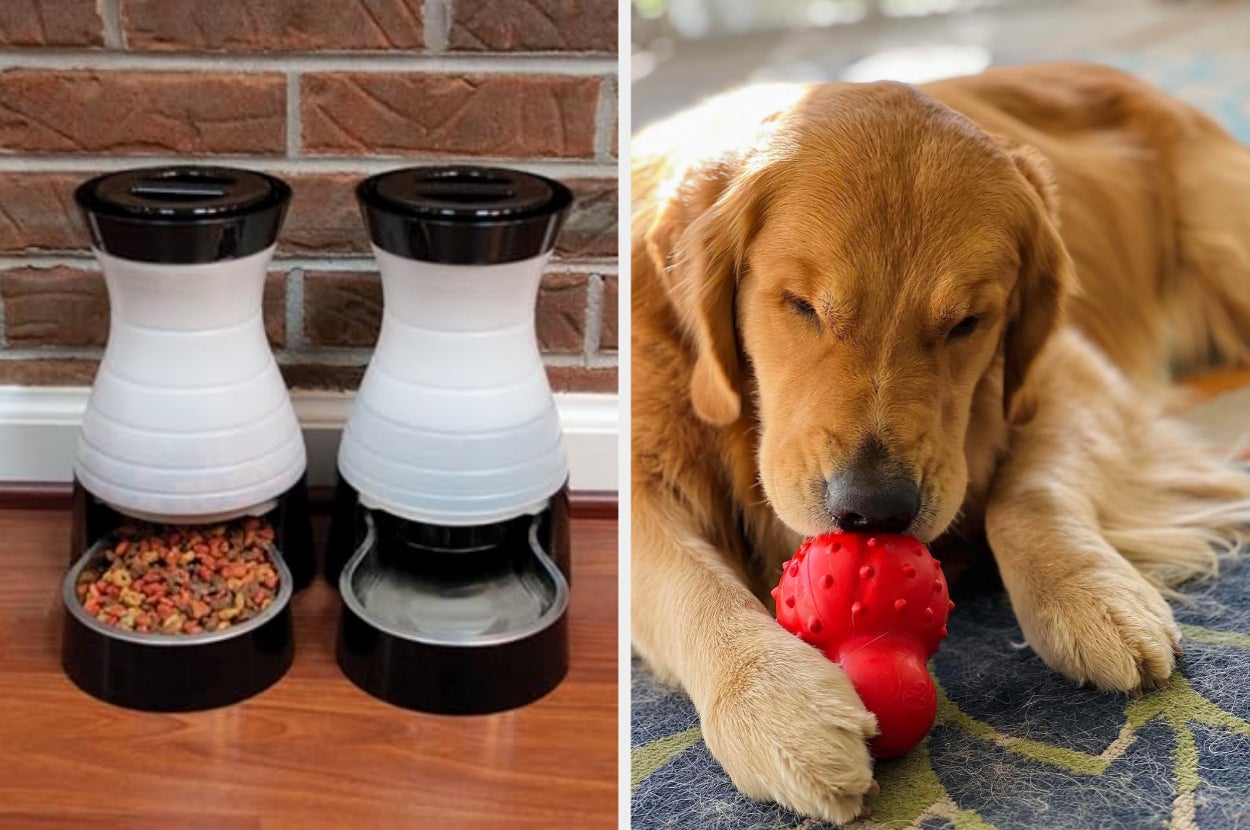 Automatic pet feeders next to a brick wall; Golden Retriever chewing a red toy on a rug