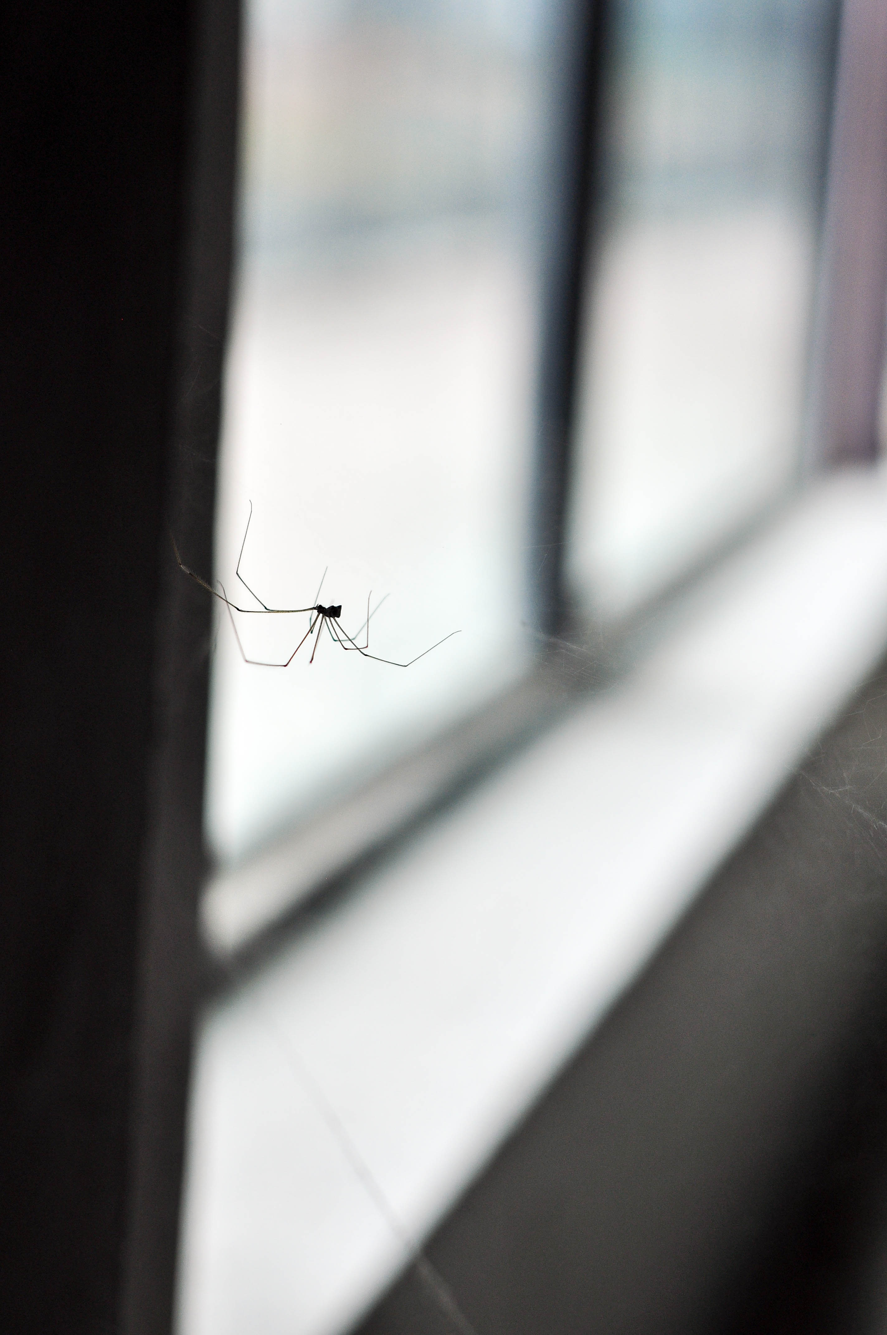 13 Commonly Believed Facts That Are Actually False