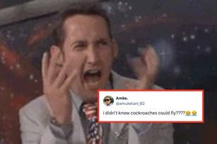 Man in a suit panicking; tweet overlay reads: "i didn't know cockroaches could fly????" with shocked emojis