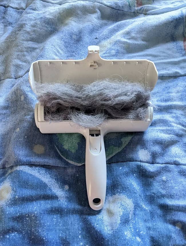Pet hairsbreadth remover brushwood filled with fur connected a bedspread