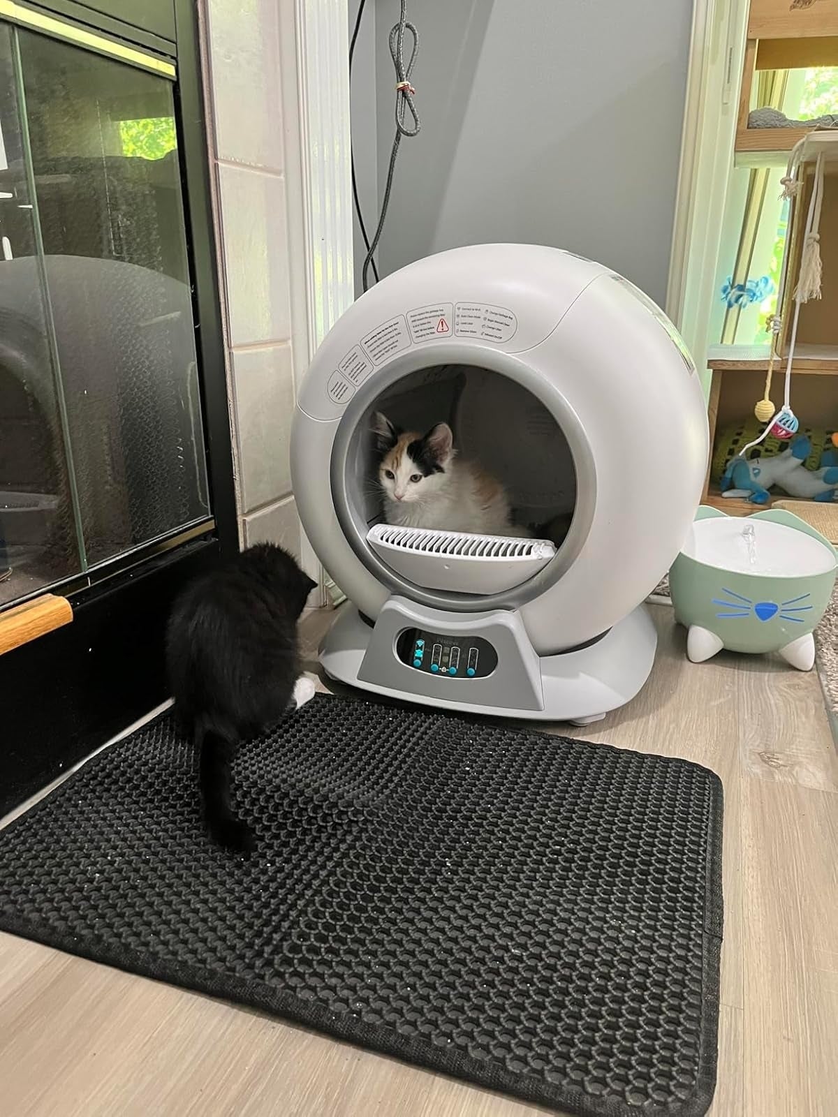 Two cats with an automatic litter box: one cat is inside, relaxing; the other cat is curiously looking at it