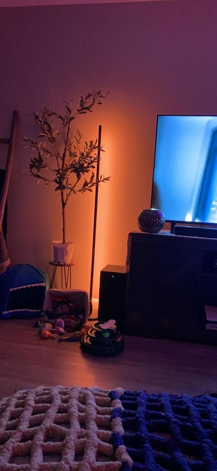 A cozy surviving  country   with a TV, plant, favored  toys, and a blanket