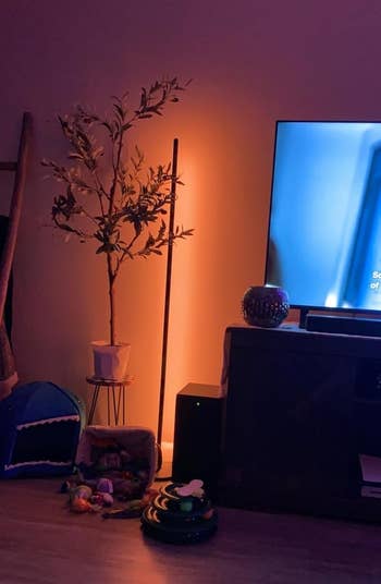 A cozy surviving country with a TV, plant, favored toys, and a blanket