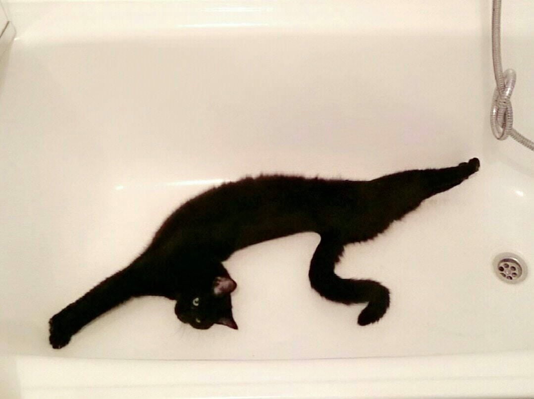 A black cat stretches in a contorted position inside a bathtub