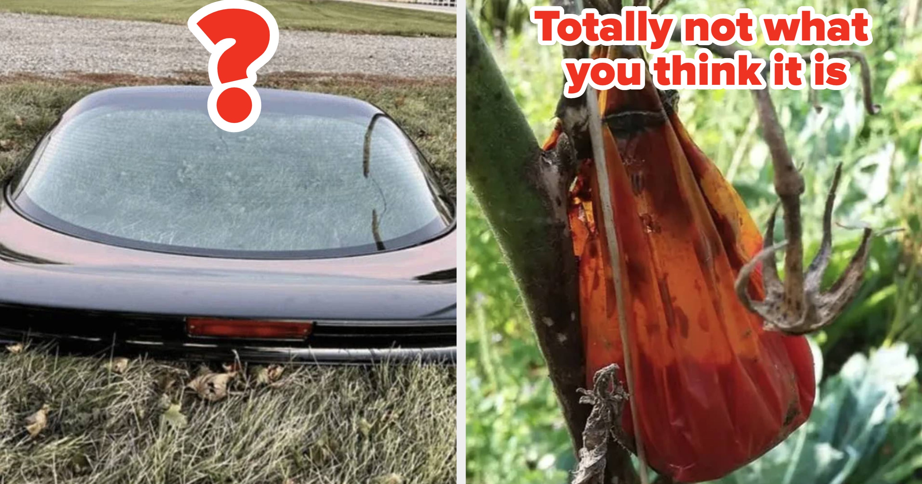 13 Mysterious Photos That'll Boost Your Brain's Functioning