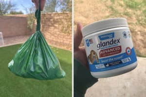 Person holding a green dog waste bag in one hand and Glandex Advanced Vet Strength chews in the other, highlighting pet care products