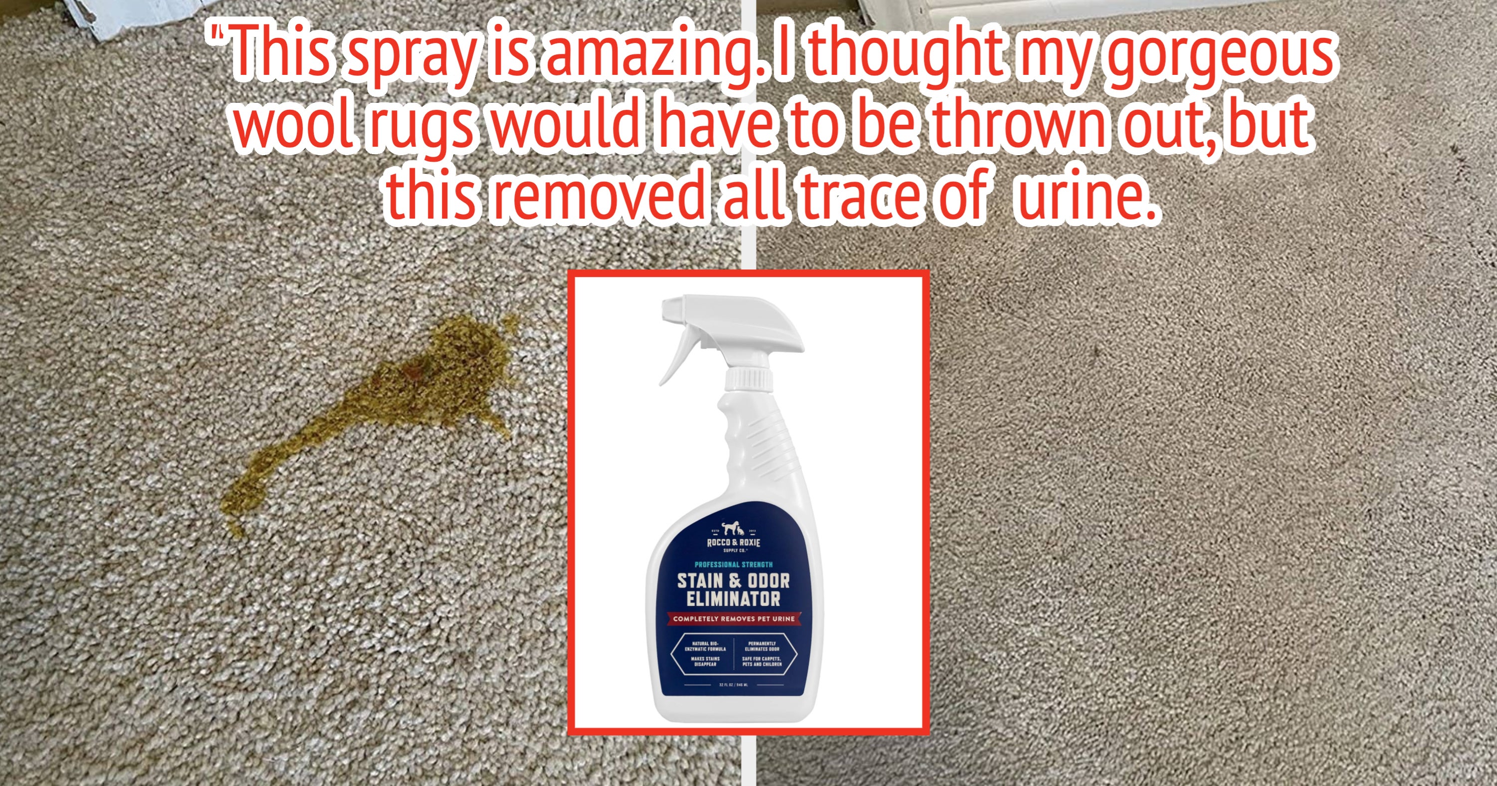 27 Products For Keeping Your Home Clean Of Pet Messes