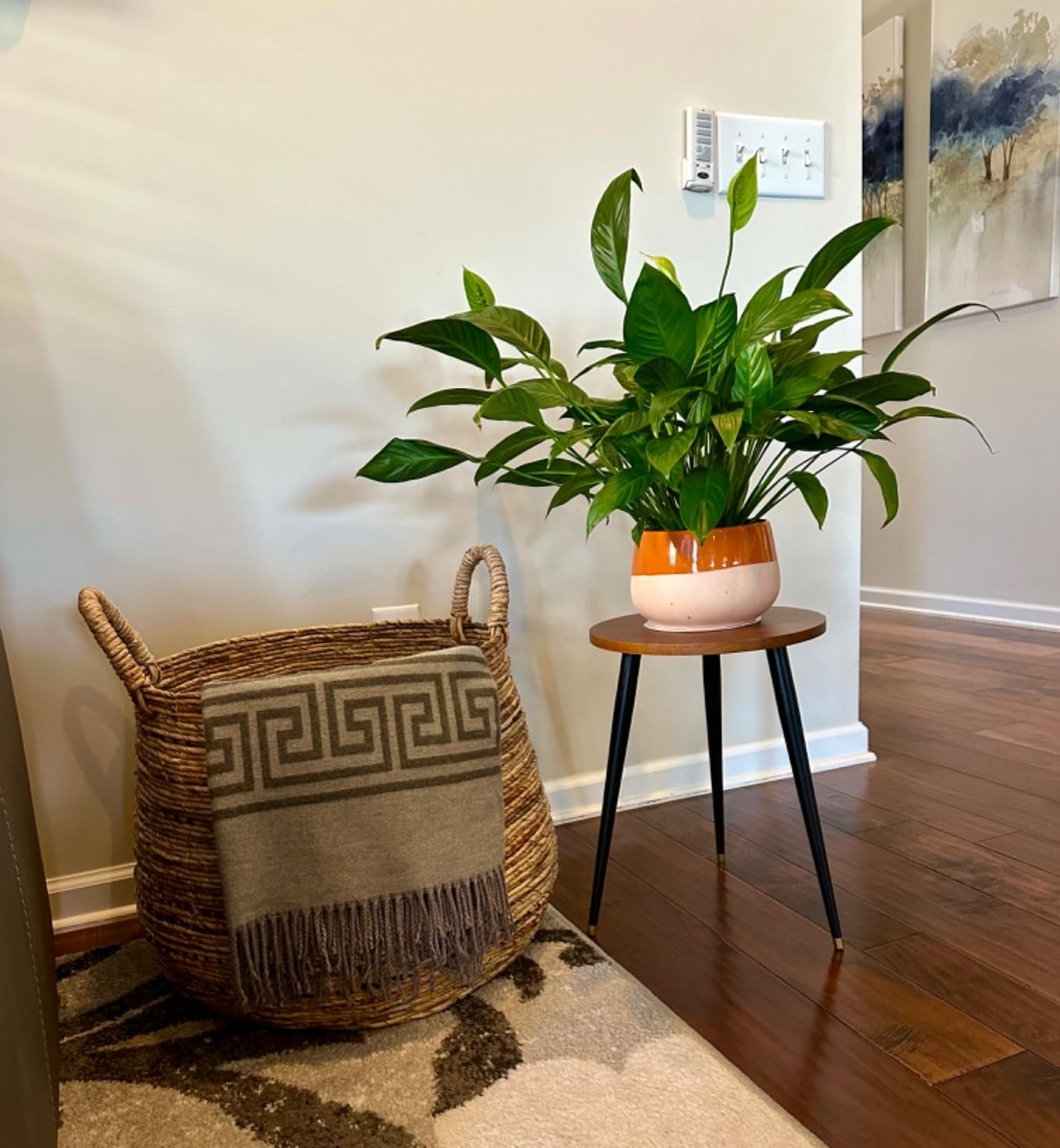 A wicker basket with a patterned blanket sits beside a small table with a potted plant in a cozy room corner