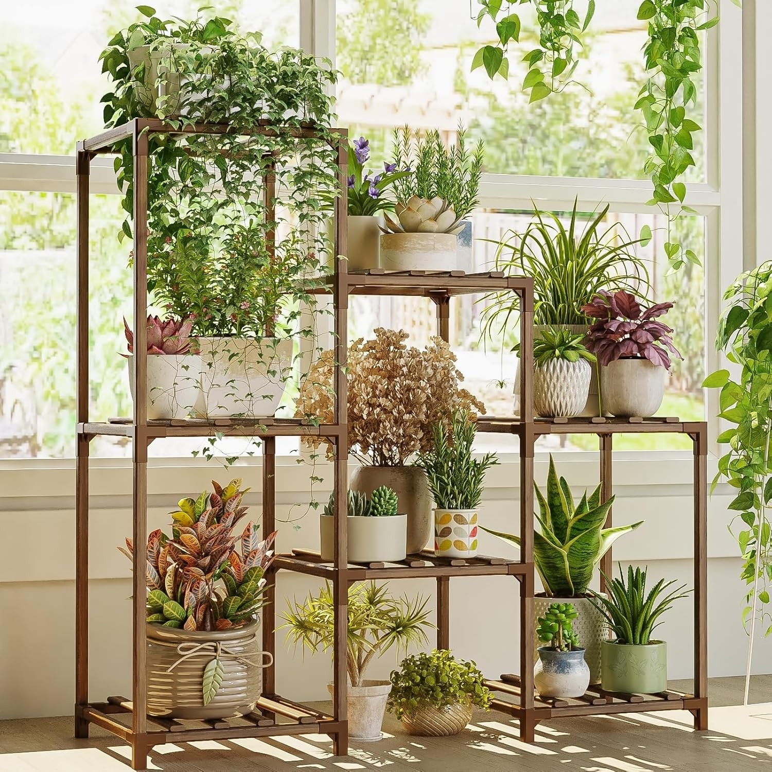 A variety of potted plants on a multi-tier wooden shelf, arranged by size and style, in a sunlit room with hanging greenery