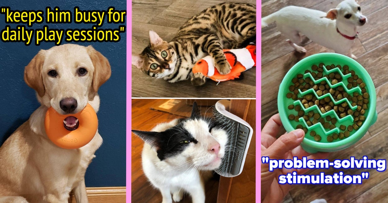 Animal Fun Tips 28 Things That'll Entertain Pets When It's Cold Outside