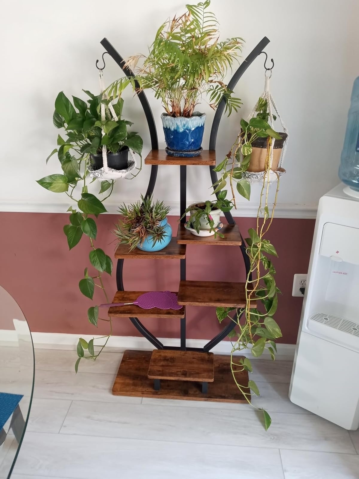 A stylish wooden shelf displays various potted plants, some hanging, with cascading vines, enhancing a room's decor