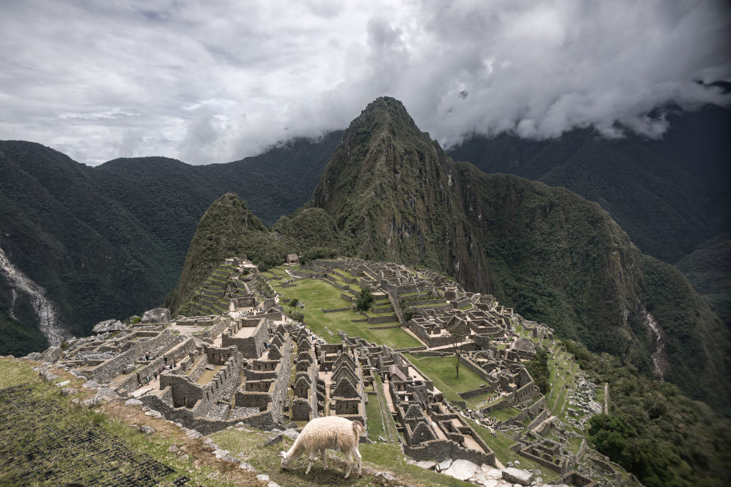 Machu Picchu landscape with ancient ruins in the foreground and a mountain backdrop under a cloudy sky. A llama grazes in the foreground