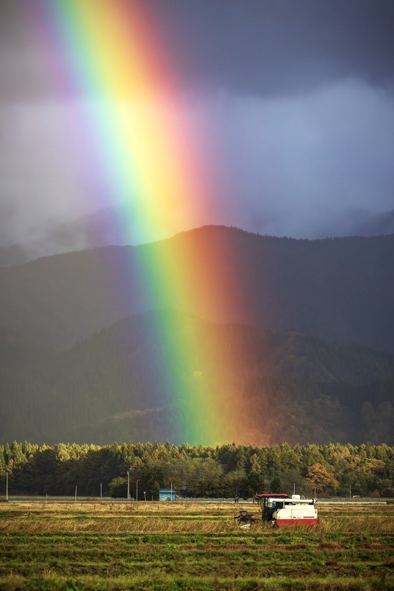 あれ、今生きてるよね？」これまでの“人生ベストワンの虹”に山形県で