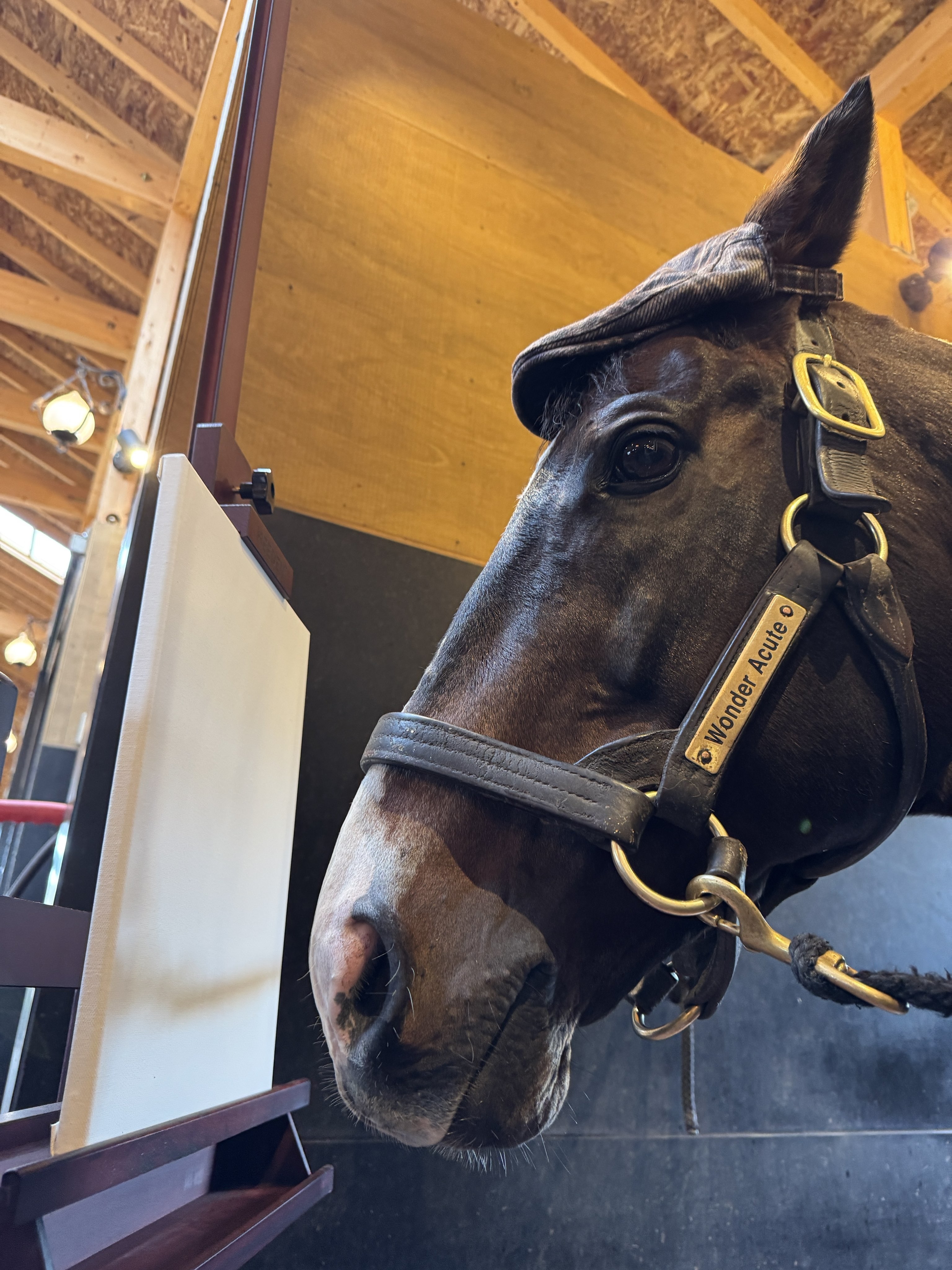 ワンダーアキュート】ウマ娘にも登場する元競走馬が描いた絵画を