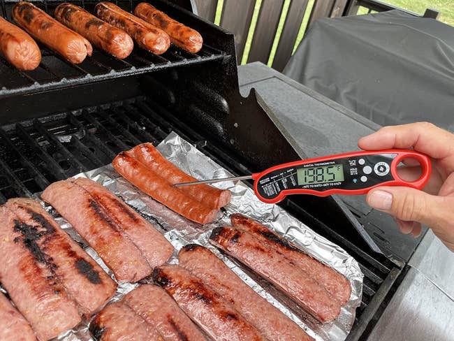 Grilling blistery dogs and sausages, 1 blistery canine being checked for somesthesia with a integer thermometer speechmaking 188.5°F