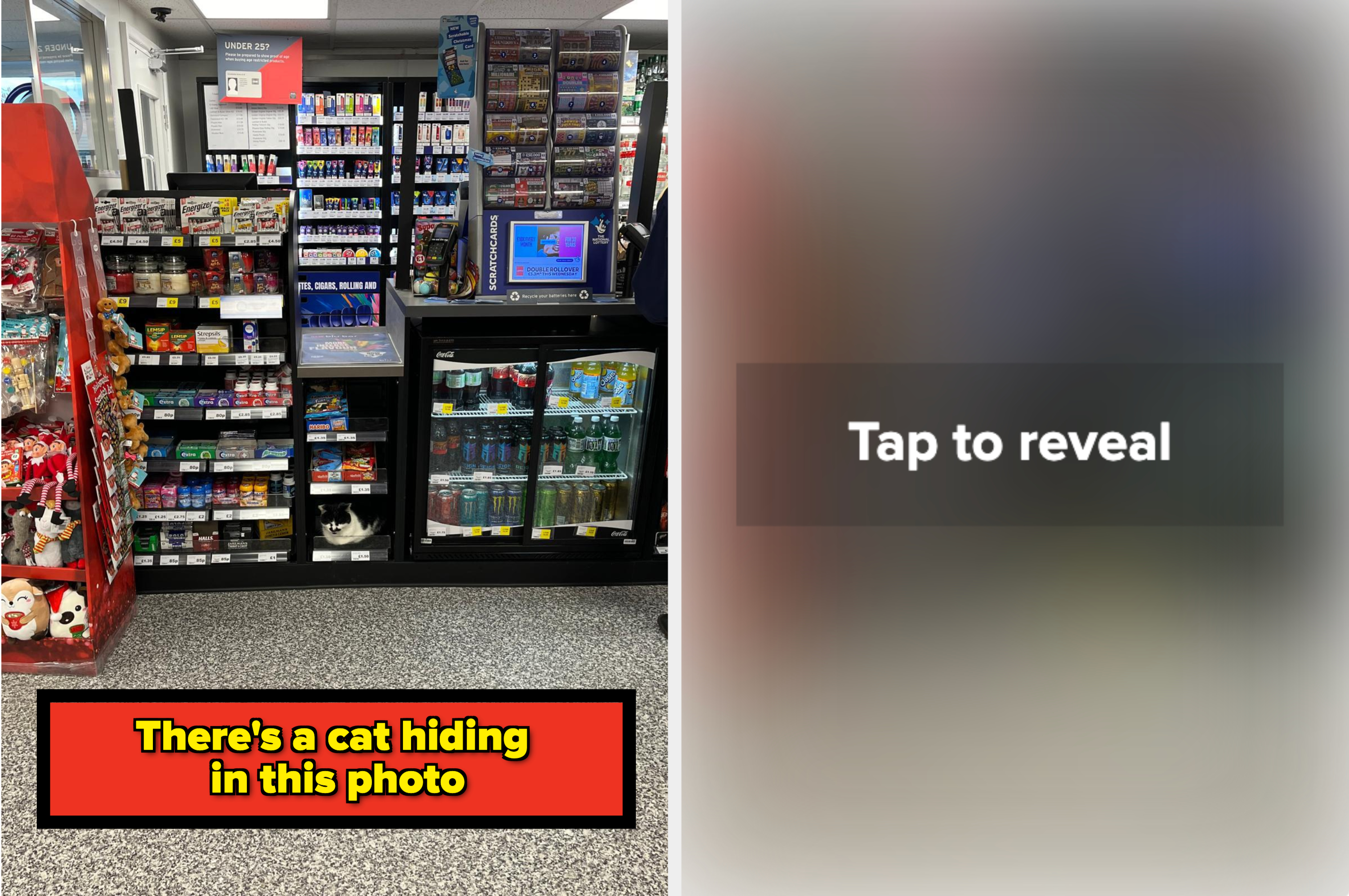 Convenience store display with various products. A cat is hiding among the items. Text reads: "There's a cat hiding in this photo."