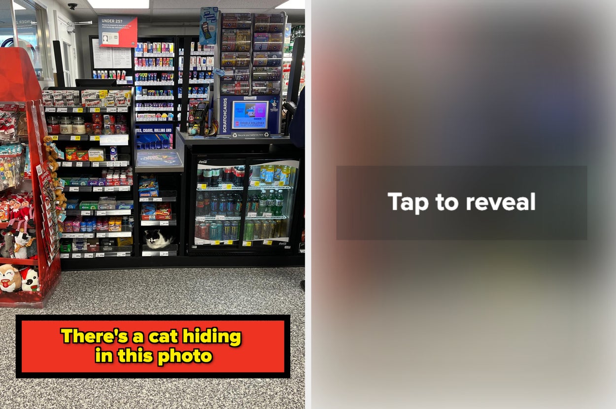 Convenience store display with various products. A cat is hiding among the items. Text reads: "There's a cat hiding in this photo."