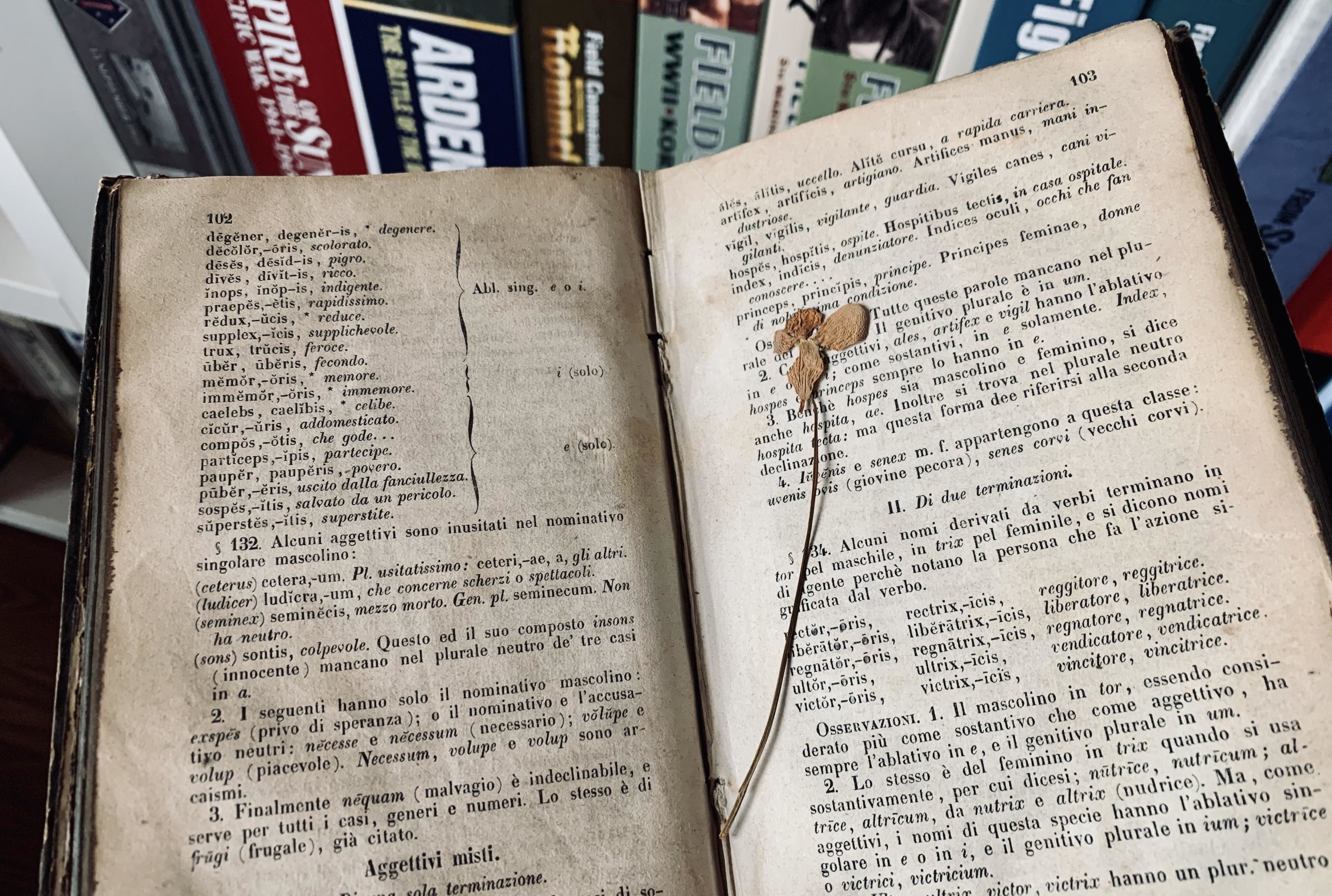 18 Wild Things People Found In Their Attics