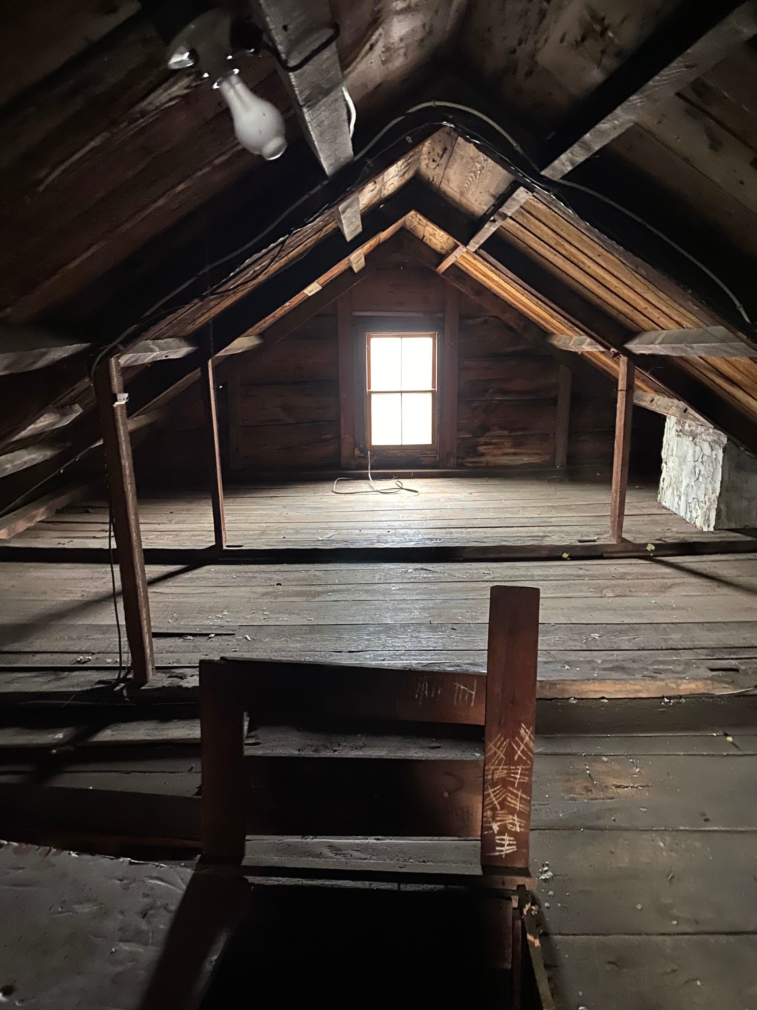 18 Wild Things People Found In Their Attics