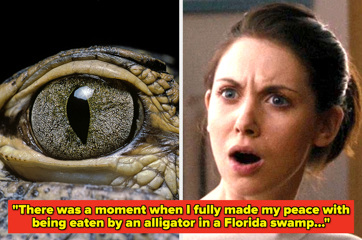 Close-up of an alligator eye next to a shocked woman with an open mouth. Captions discuss an alligator encounter in a Florida swamp