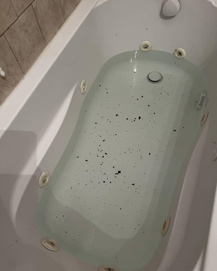 Screenshot of a Reddit post showing a bathtub filled with murky water and a user's text about cleaning issues on the right