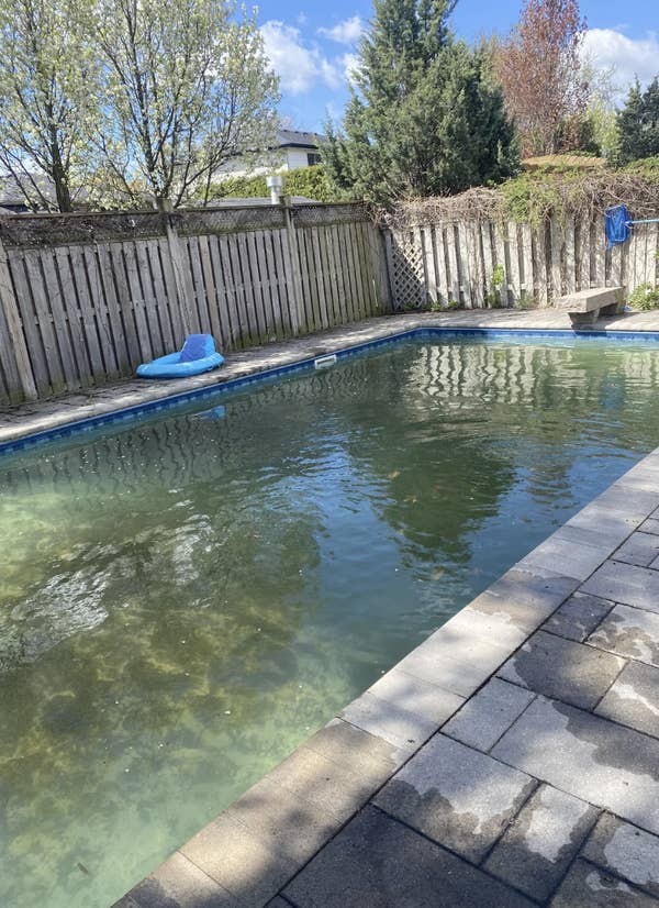 Screenshot of a Reddit post in r/pools asking how much it would cost to clean a pool with algae