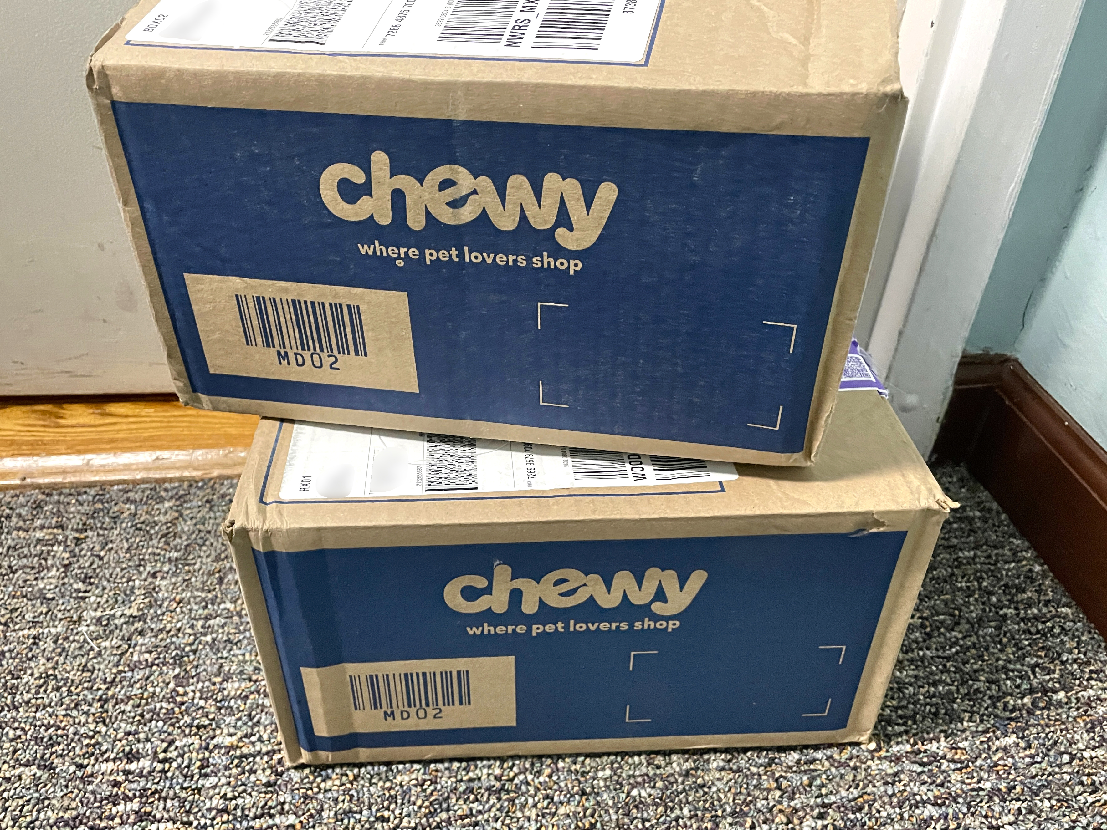 Two Chewy delivery boxes stacked, labeled &quot;where pet lovers shop,&quot; placed on a carpeted floor