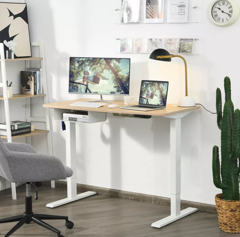 Modern home office with a standing desk, dual monitors, and a laptop. Gray chair and a cactus nearby. Minimalist decor on shelves and walls