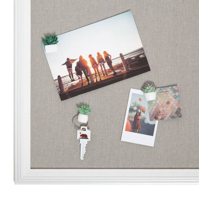 Post image 5