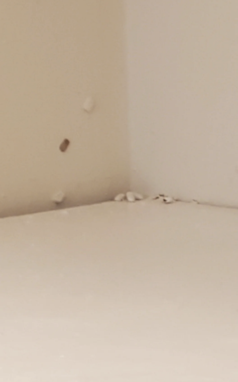 Post image 21