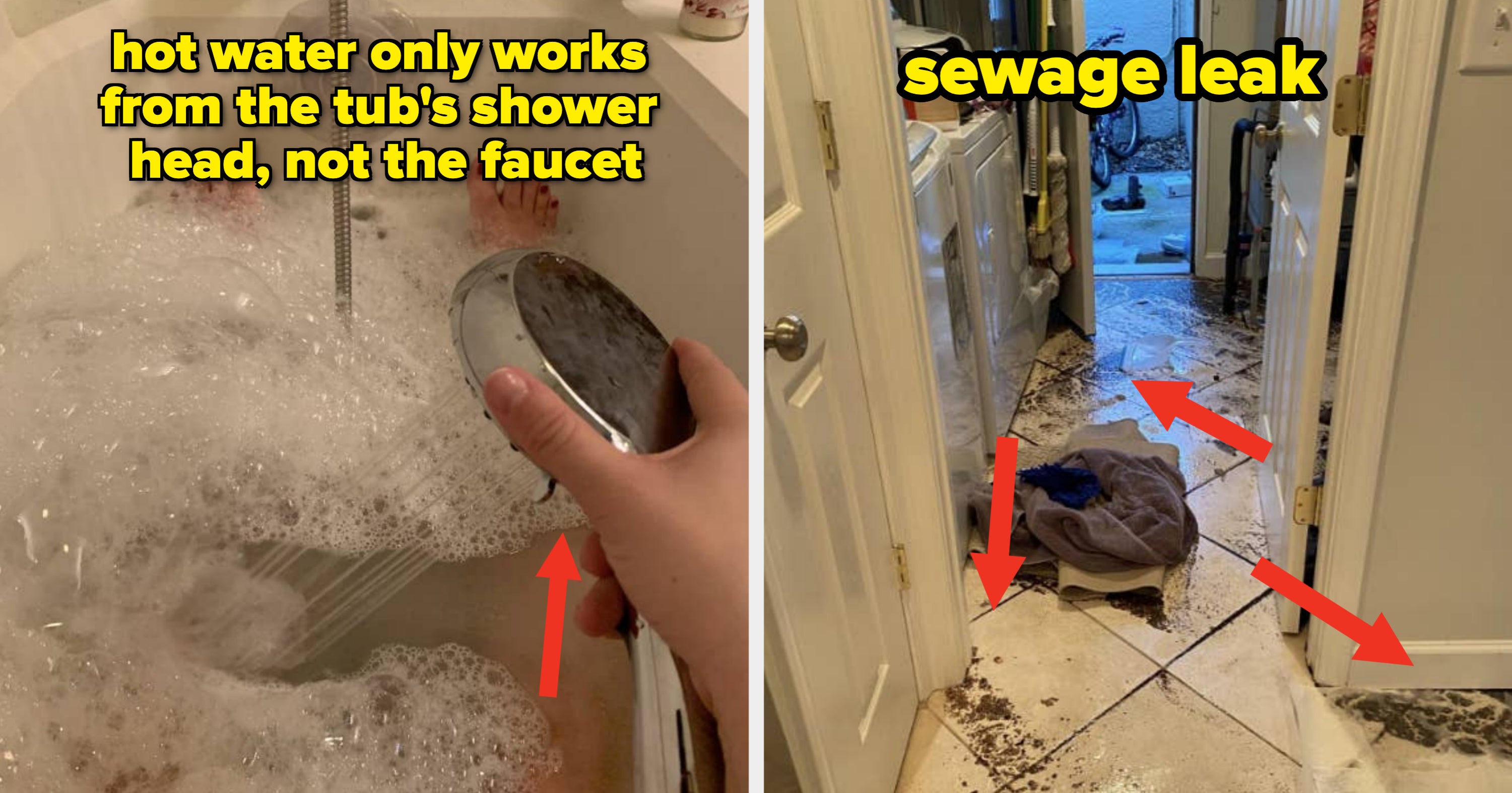 14 Apartment Renters Who Got Scammed