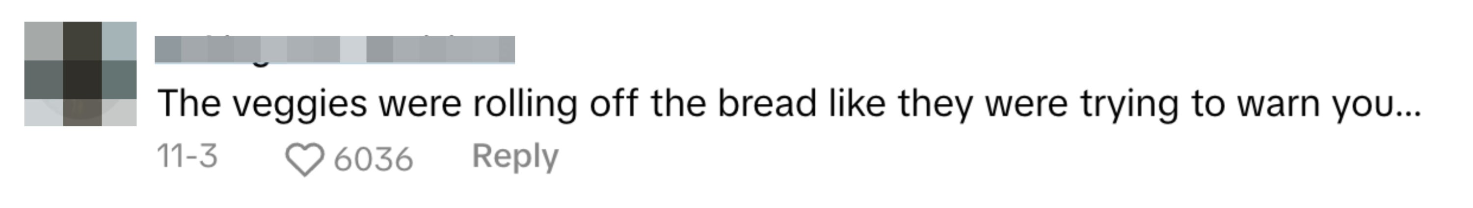 Comment with text: "The veggies were rolling off the bread like they were trying to warn you..."