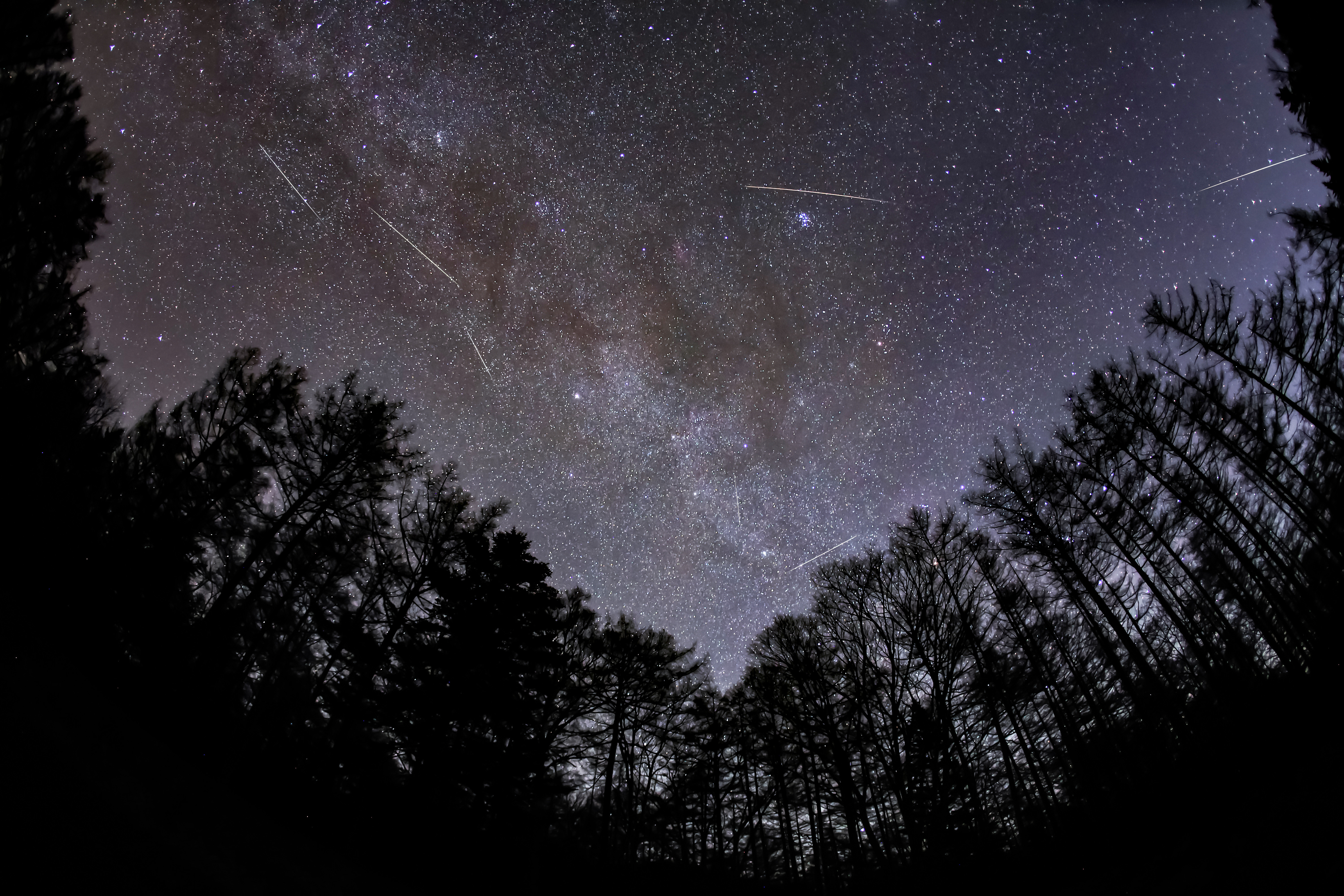 ふたご座流星群】出現のピークと見やすい時間帯は？「年間最大の流星群」が到来 （2024年12月）