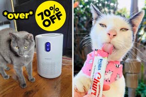 Split image: Left, gray cat near air purifier with "over 70% off" text; right, white cat licking a treat