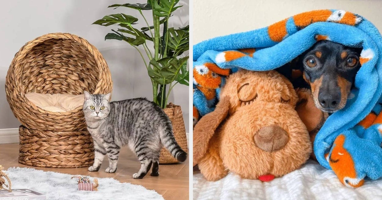 Target Pet 20 Target Pet Products You're Sure To Gush Over