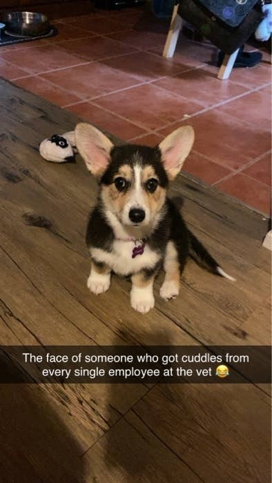cutest picture on the internet today