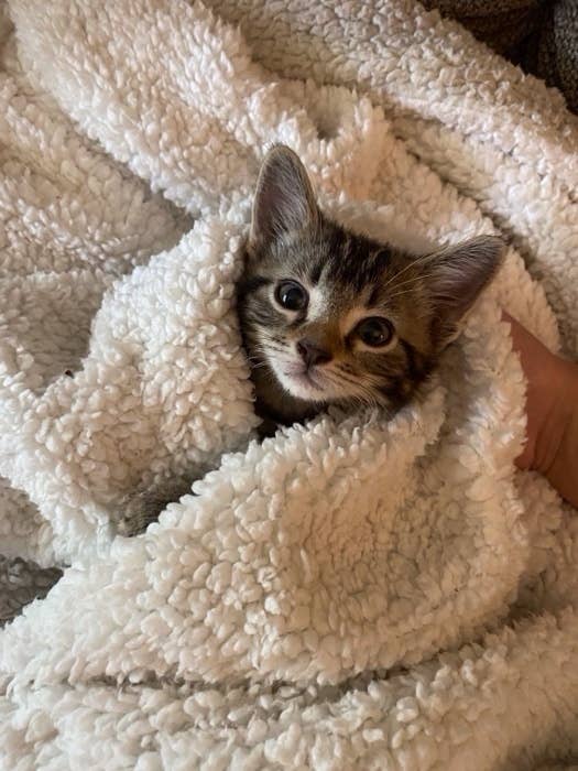 cutest picture on the internet today